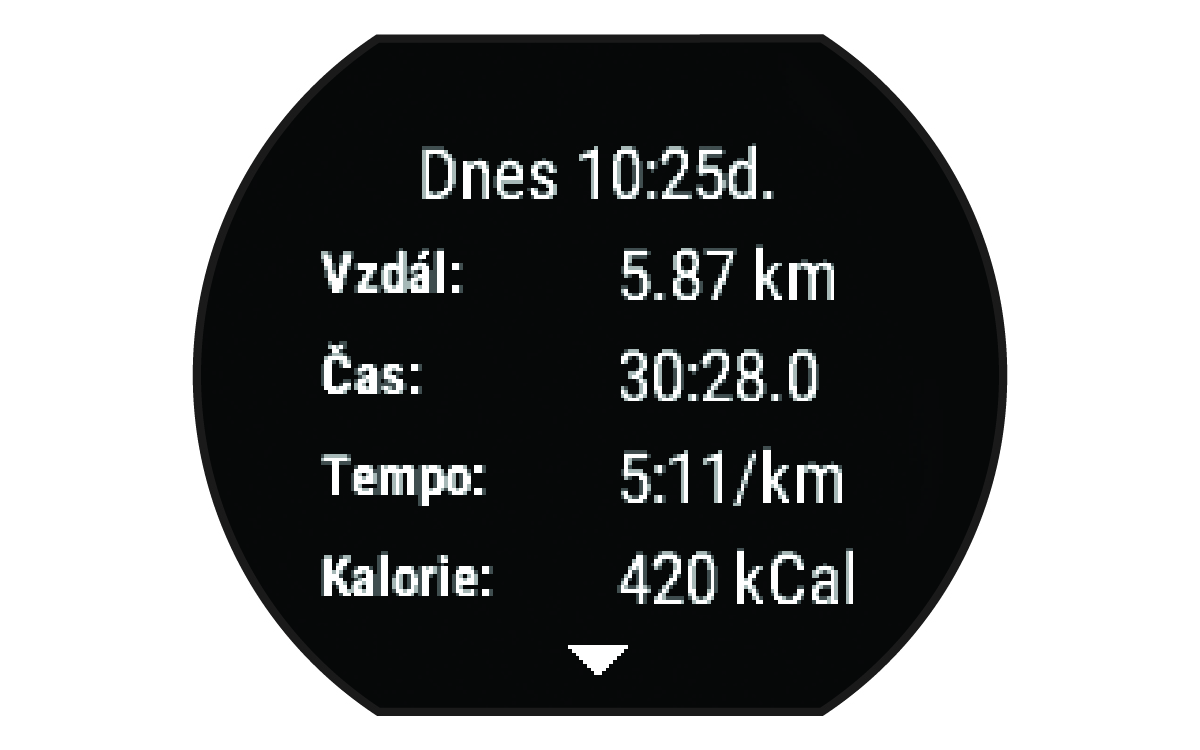 Souhrn údajů o běhu