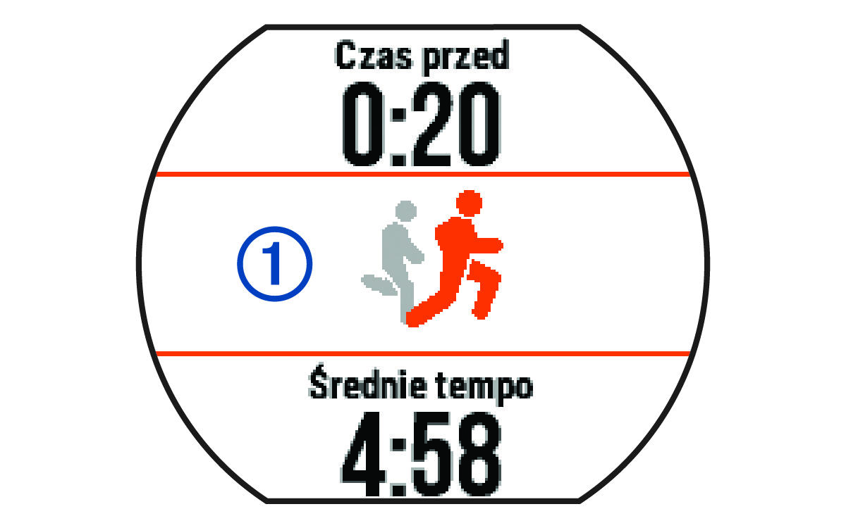 Dane Virtual Partner z objaśnieniami