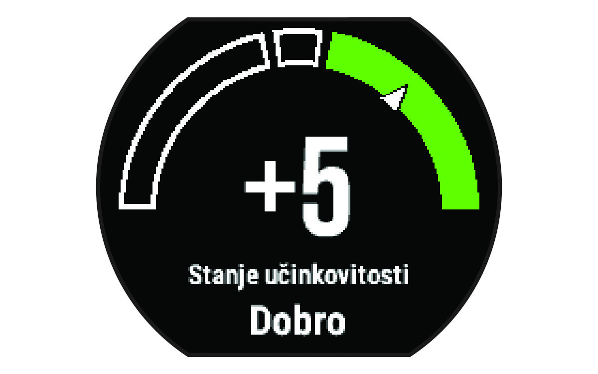 Podatki o stanju zmogljivosti