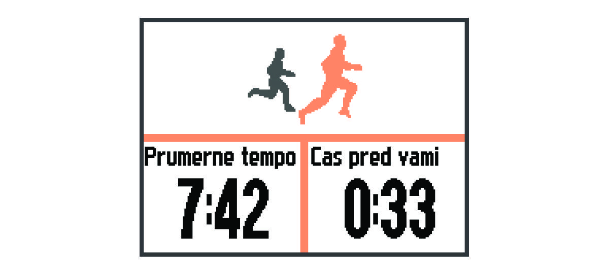 Údaje funkce Virtual Partner