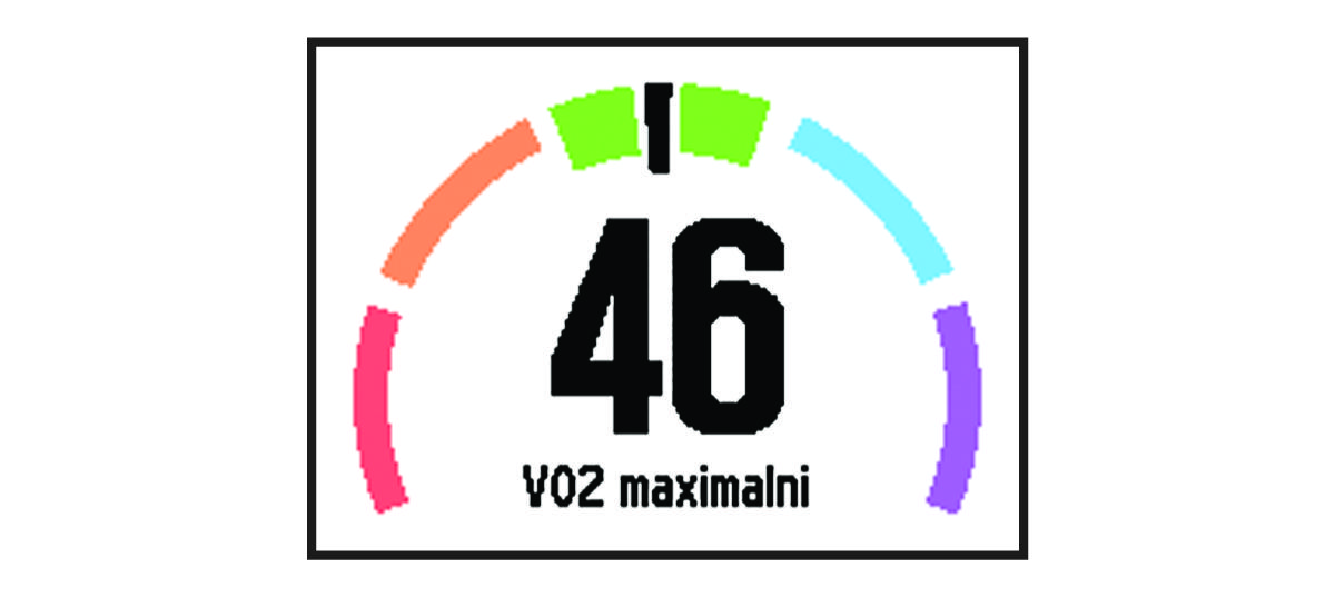 Údaje VO2 Max