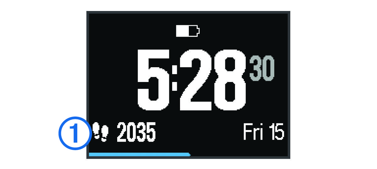 Step goal data with a callout