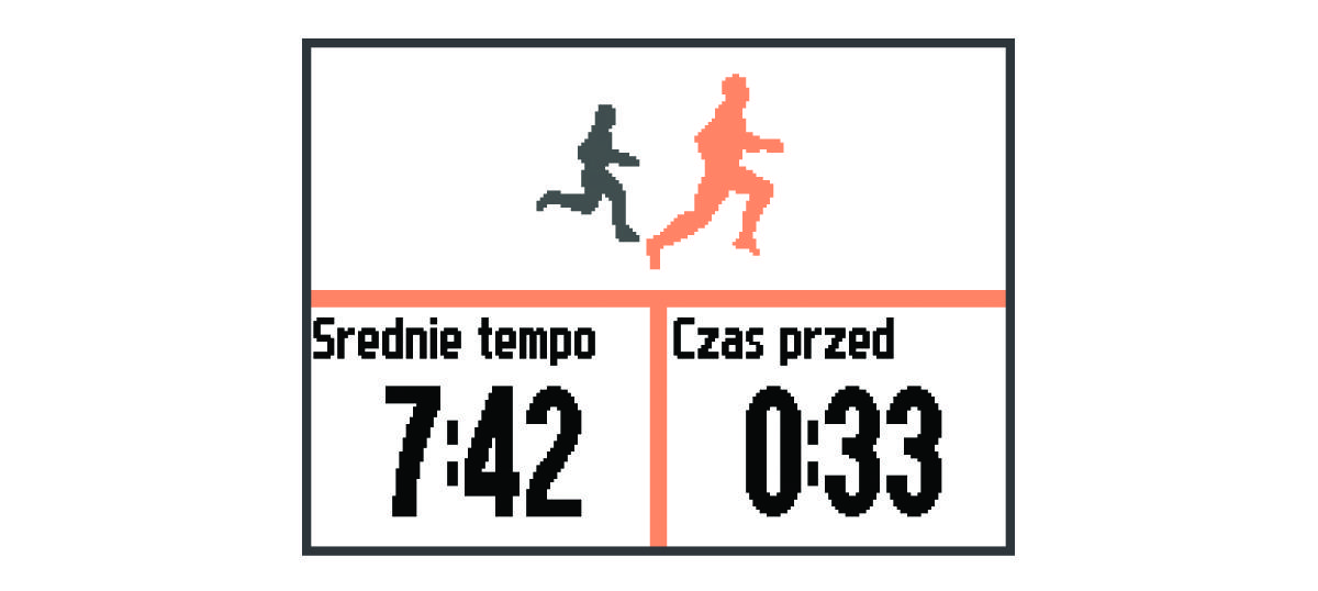 Dane Virtual Partner