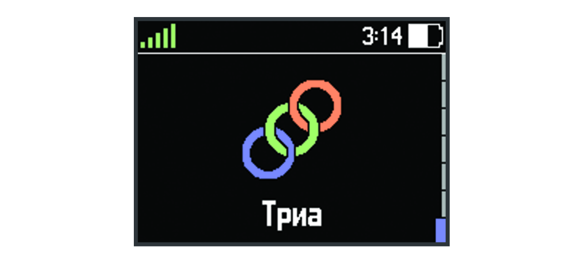 Данные профиля занятий