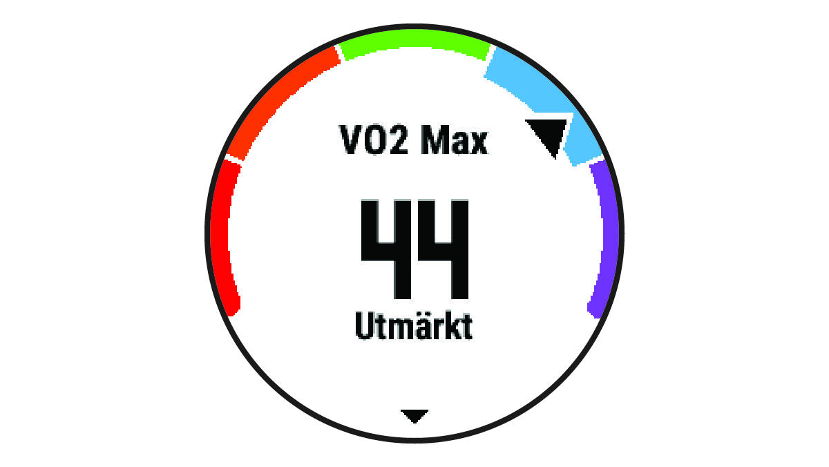 Data för VO2 Max