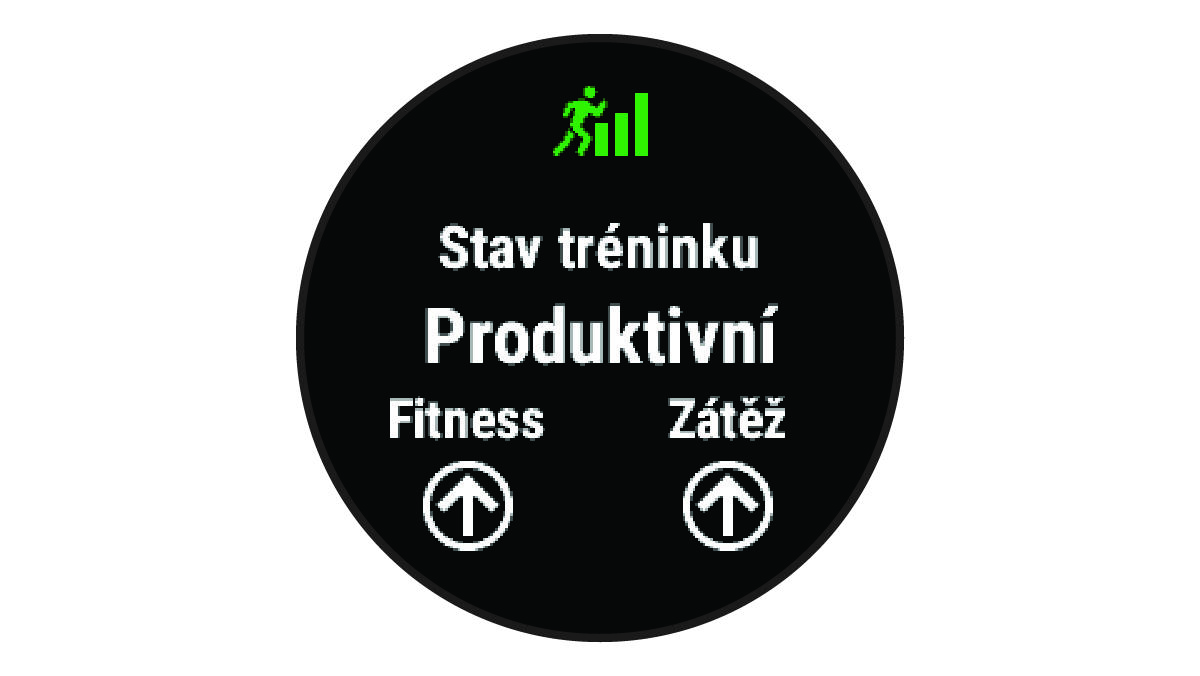 Údaje stavu tréninku