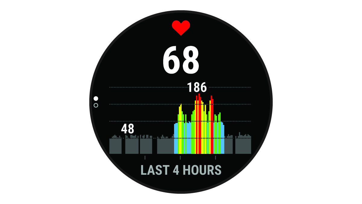 Forerunner 945 Manual - Viewing the Heart Rate