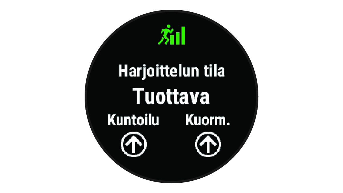 Harjoittelun tilatiedot