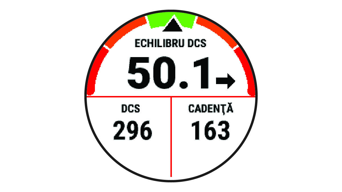 Date despre dinamica alergării