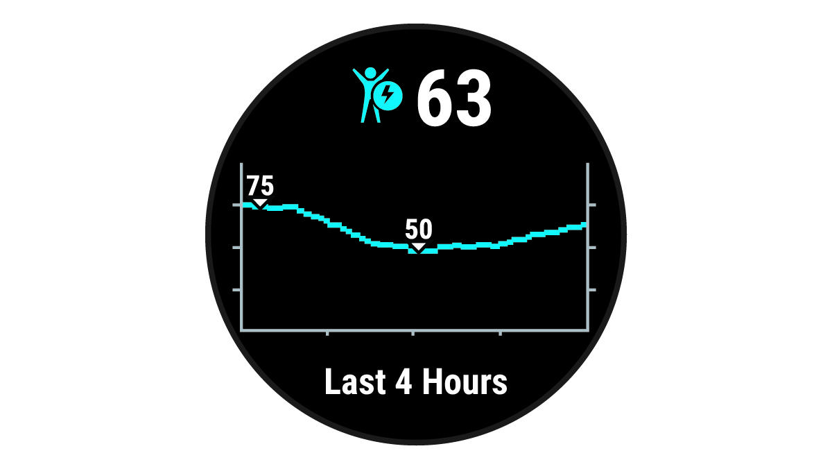 Body Battery data