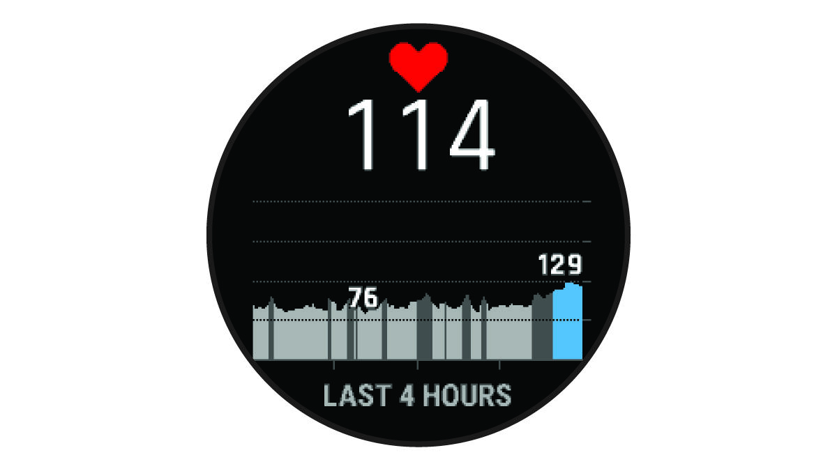Screenshot of the heart rate widget