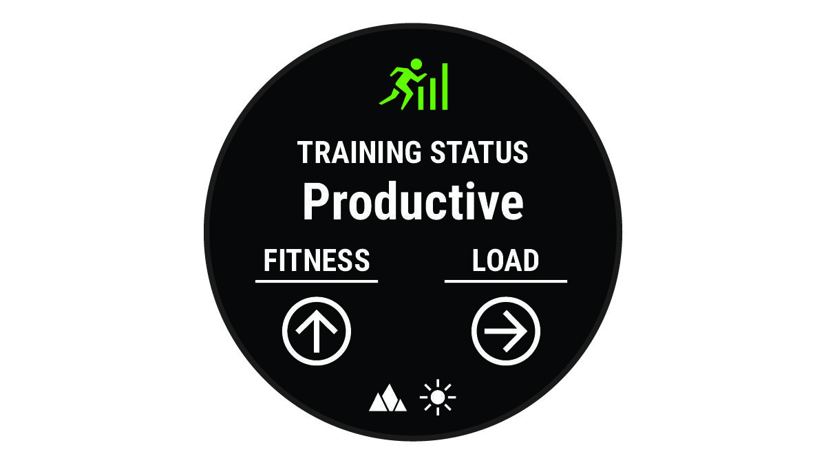 Screenshot of the training status widget