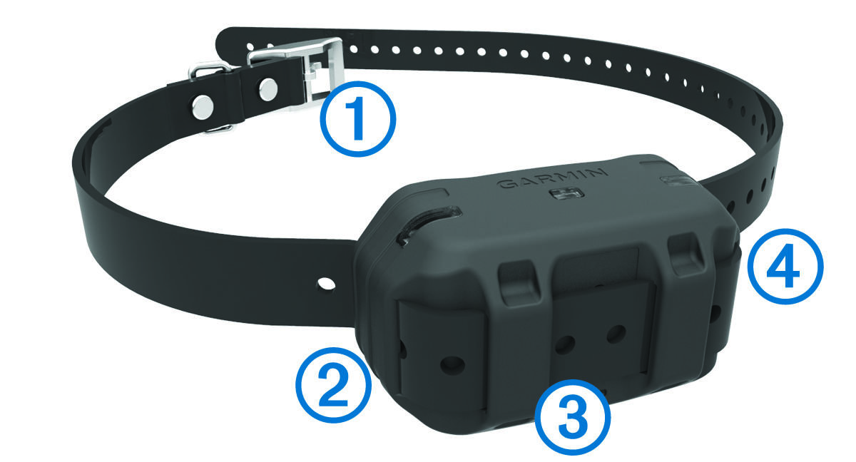 Dog device with collar strap and callouts