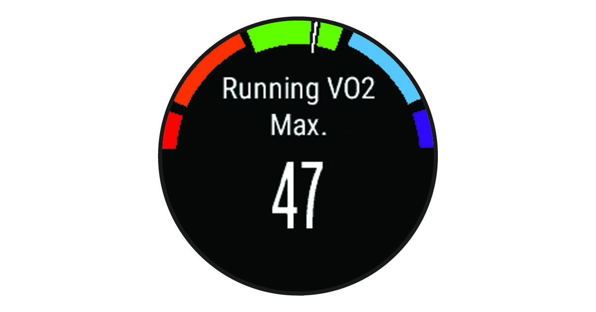Screenshot of the VO2 max estimate