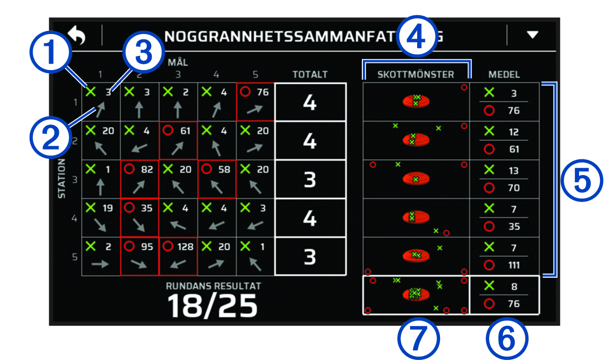 Skärmbild av en noggrannhetssammanfattning med bildtext
